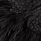 Calibre - Overflow 2 CDs
