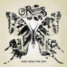 The Rasmus - Hide From The Sun - Slidepac