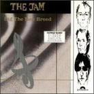 The Jam - Dig The New Breed - Papersleeve Japan Edition