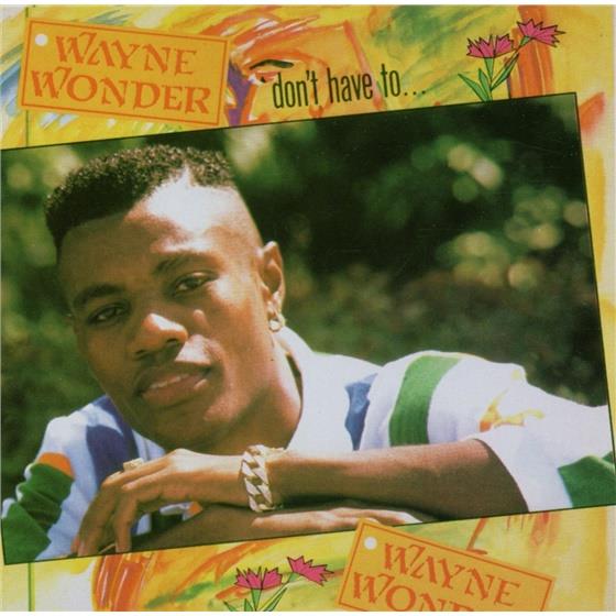 Wayne Wonder - Don't Have To