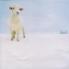 Eighth Blackbird & Frederic Rzewski (*1938) - Pocket Symph./Moutons De Panur