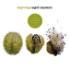 Eighth Blackbird & Kellogg / Crumb - Beginnings - Contemporary Chamber Music