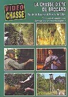 La chasse d'été du brocard