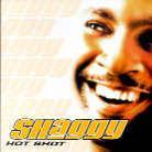 Shaggy - Hot Shot - Reissue & 3 Bonustracks Japan Edition