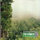 The Streets - Everything Is Borrowed