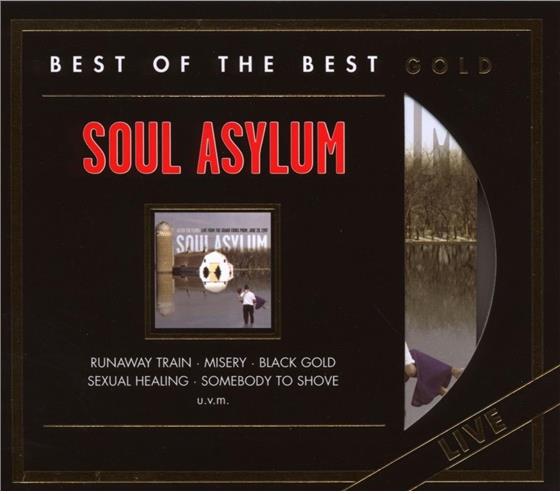 Soul Asylum - After The Flood - Live Gold Édition