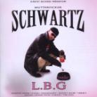 Schwartz - Lady Bitch Gay