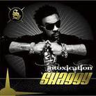 Shaggy - Intoxication