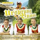 Ursprung Buam - Hereinspaziert Ins Zillertal