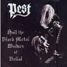 Pest - Hail The Black Metal Wolves Of Belial