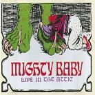 Mighty Baby - Live In The Attic