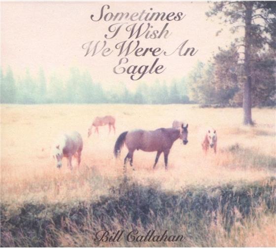 Bill Callahan (Smog) - Sometimes I Wish We Were An Eagle