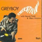 Greyboy - Freestylin