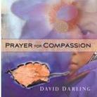 David Darling - Prayer For Compassion