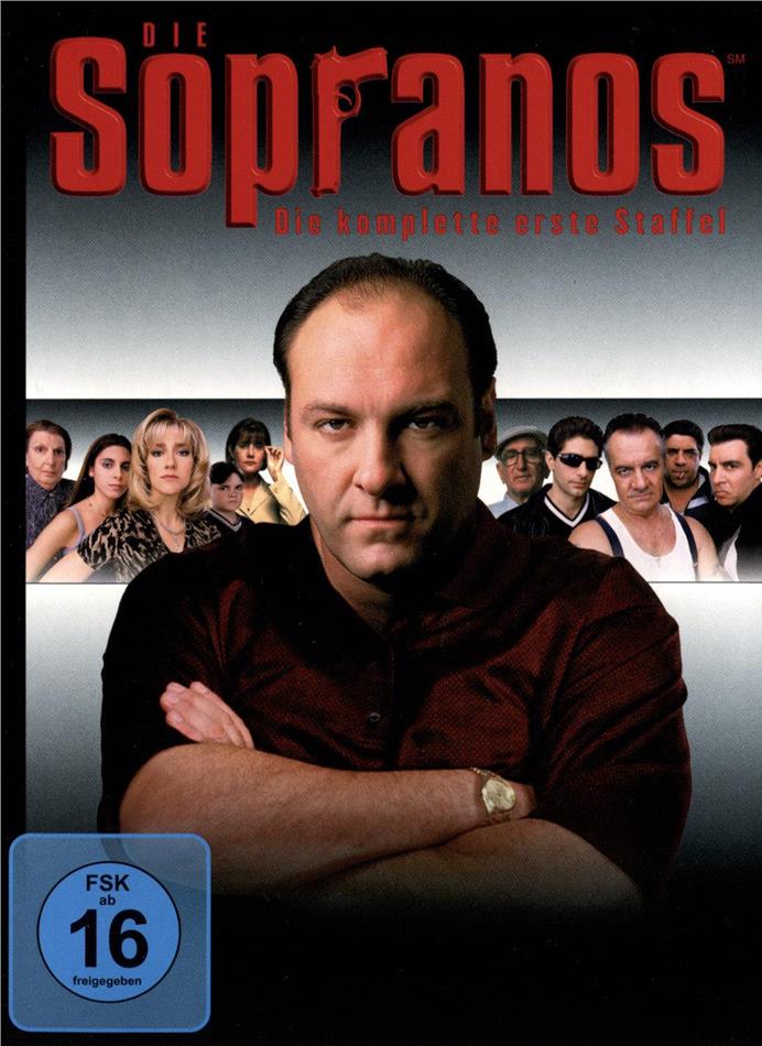 Die Sopranos - Staffel 1 4 DVDs