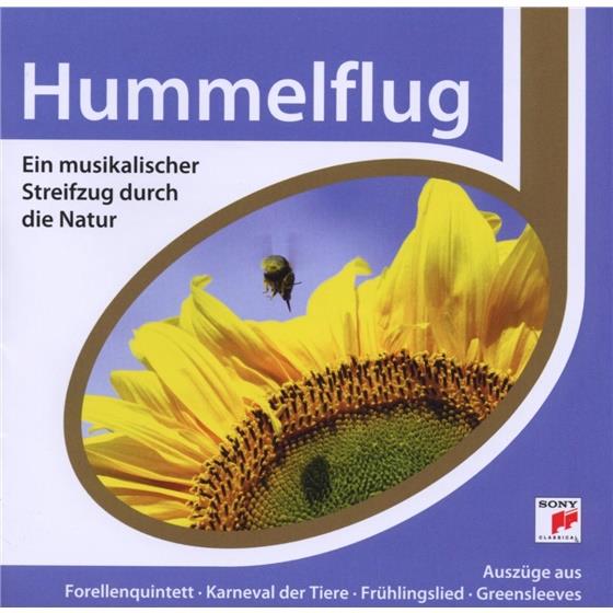 --- & --- - Esprit - Hummelflug