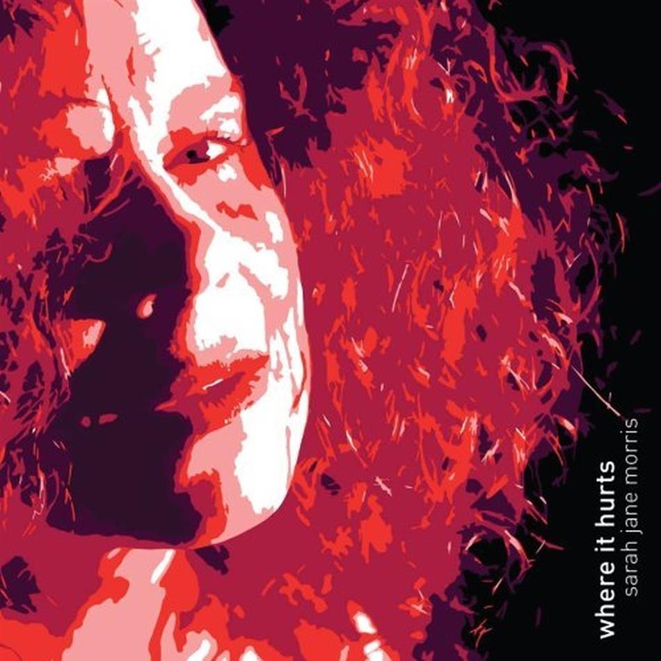 Sarah Jane Morris - Where It Hurts