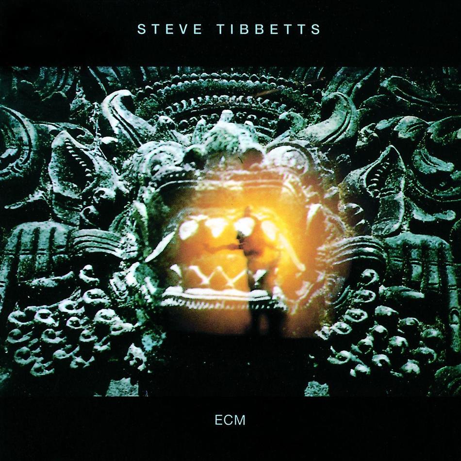 Steve Tibbetts - Fall Of Us All