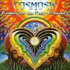 Cosmosis - Fumbling For The Funky