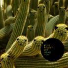 Luke Vibert - We Hear You