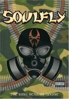 Soulfly - The Song Remains Insane