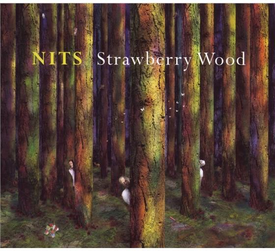 Nits - Strawberry Wood