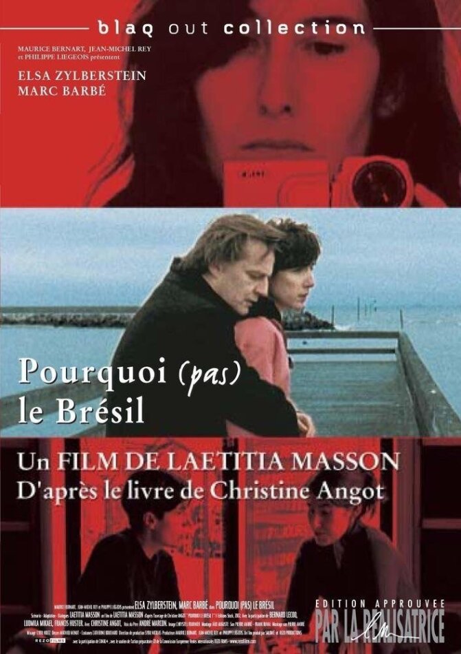 Pourquoi (pas) le Brésil (2004)