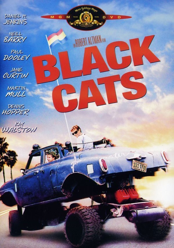 Black Cats (1985)