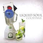 Liquid Soul (Goa) - Cocktails 2 CDs