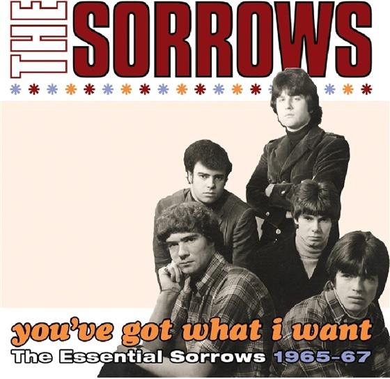 Sorrows - You've Got What I Want