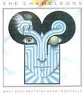 Chameleons - What Does Anything Mean - Basically 2 CDs