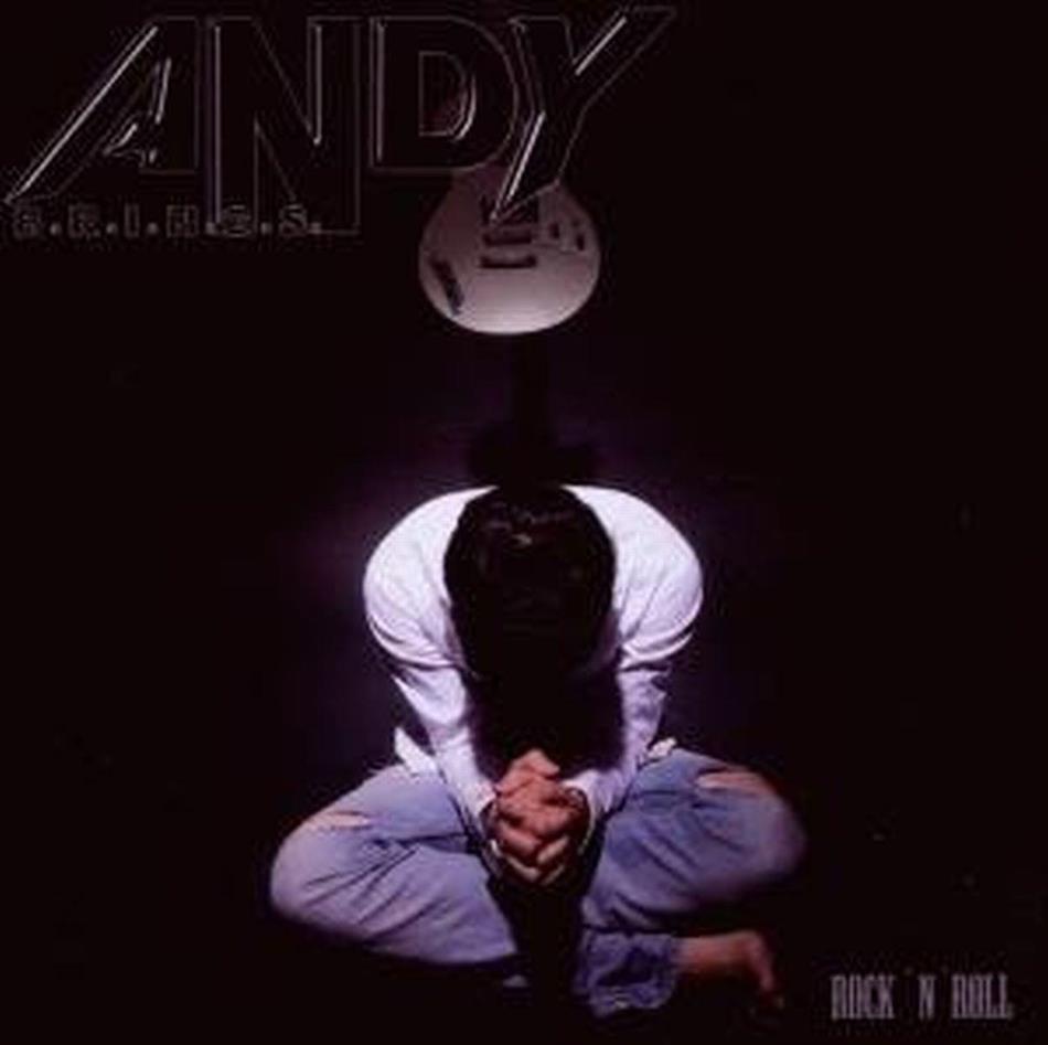 Andy Brings - Rock'n Roll