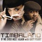 Timbaland - If We Ever Meet Again