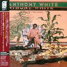 Anthony White - Could It Be Magic - Papersleeve Remastered