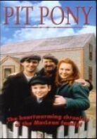 Pit Pony