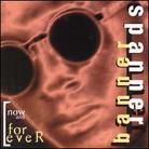Spanner Banner - Now And Forever