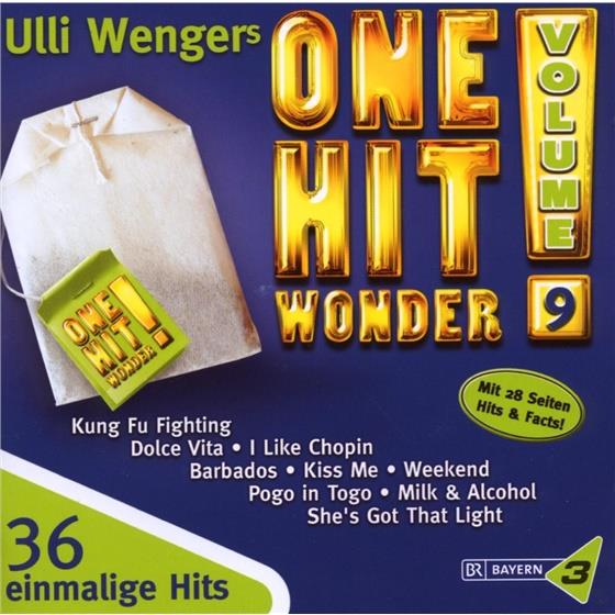 One Hit Wonder - Various 9 2 CDs