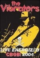 Vibrators - Live energized - CBGB 2004