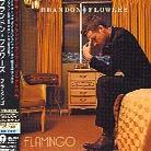 Brandon Flowers (Killers) - Flamingo Japan Edition
