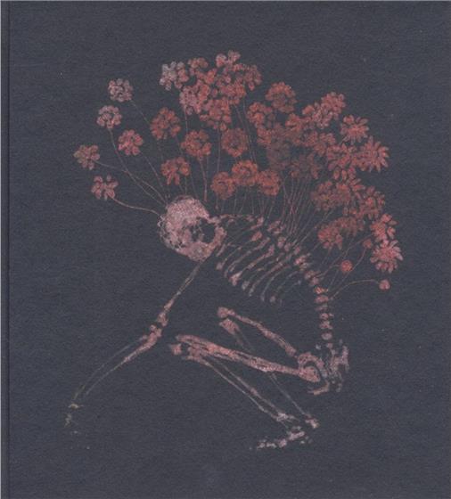Tenhi - Folk Aesthetic 1996-2006 - Re-Release 3 CDs