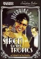 Josephine Baker Collection - Siren of the tropics