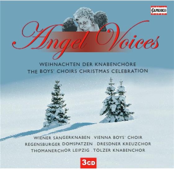 Wiener Sängerknaben & Regensburger Domspatzen - Angel Voices - Weihnachten der Knabenchöre 3 CD