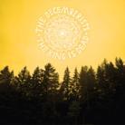 The Decemberists - King Is Dead CD + DVD + Buch