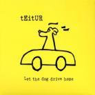 Teitur - Let The Dog Drive Home
