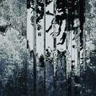 Celer - Salvaged Violets