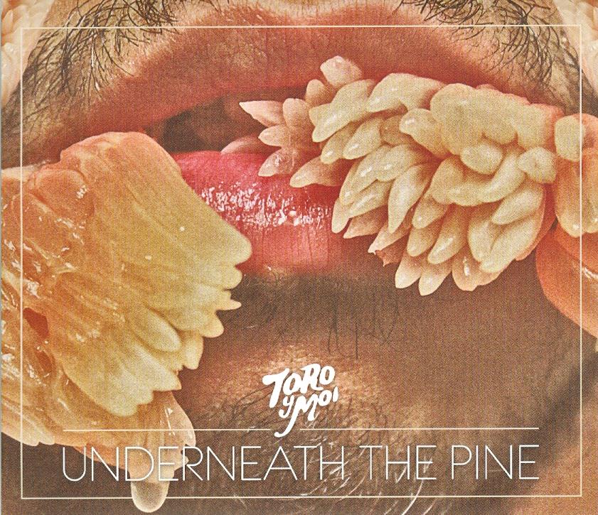 Toro Y Moi - Underneath The Pine