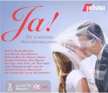 Prisma - Ja! Der Sch&ouml;nste Tag (3 CDs)