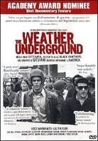 The weather underground
