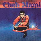 Cheb Mami - Saida