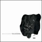 Bruce Gilbert - Shivering Man
